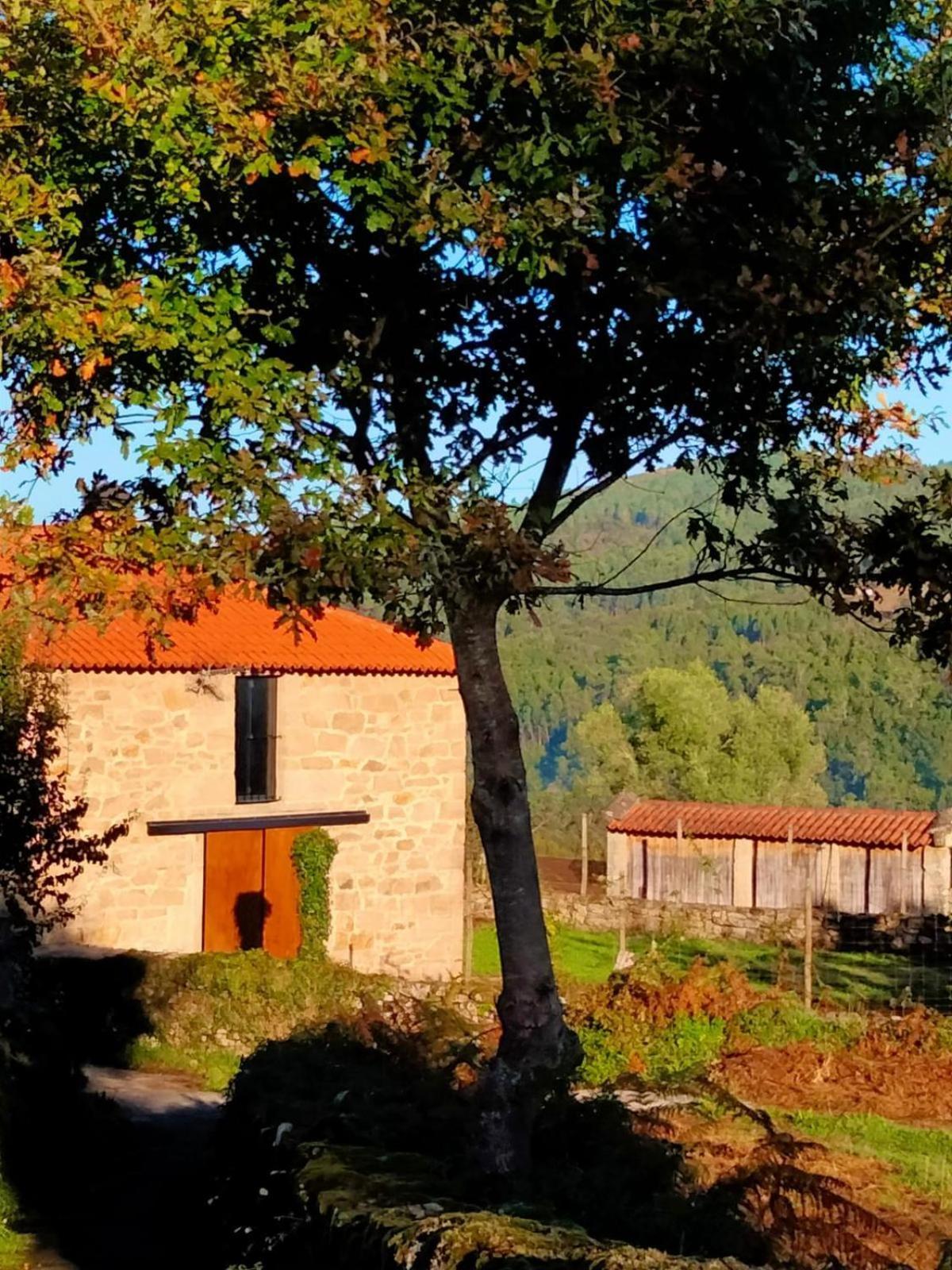 Vive Una Escapada Rural Con Alma, Cerca De Todo Y Lejos Del Ruido 폰테베드라 외부 사진