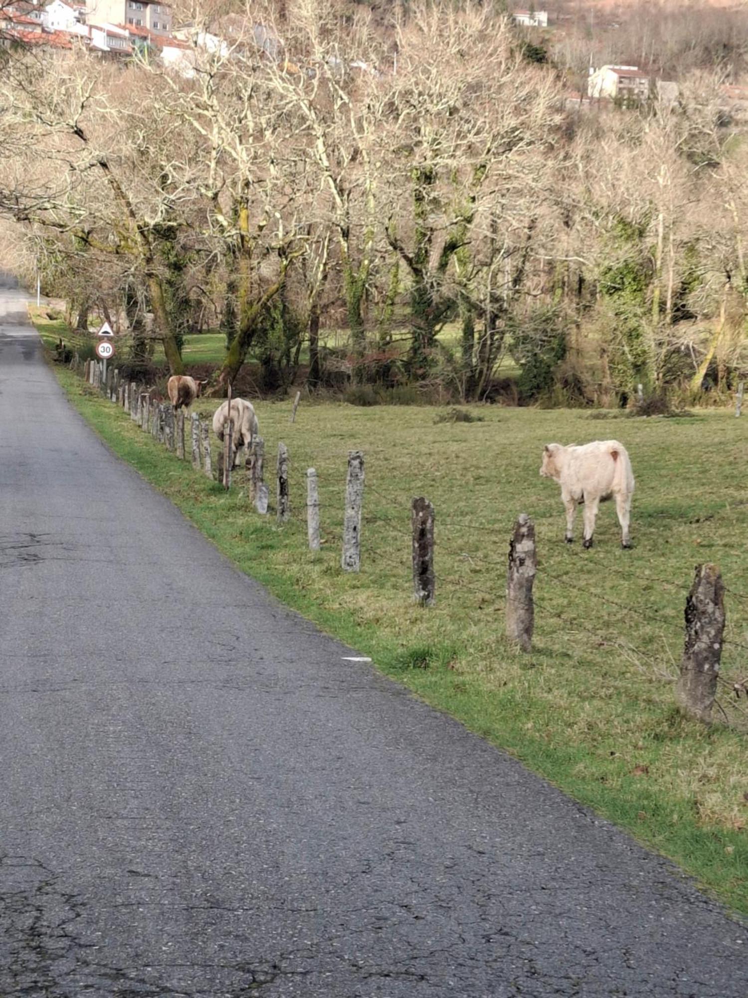 Vive Una Escapada Rural Con Alma, Cerca De Todo Y Lejos Del Ruido 폰테베드라 외부 사진